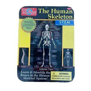 TS Shure The Human Skeleton Magnetic Science Tin Stem Activity Learning Bones